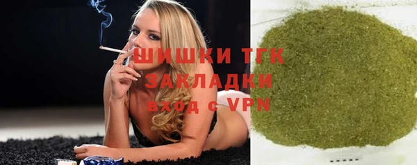 стаф Каменногорск