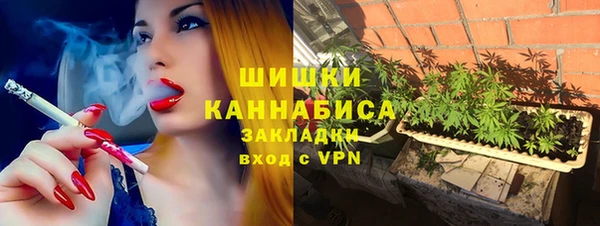 стаф Каменногорск