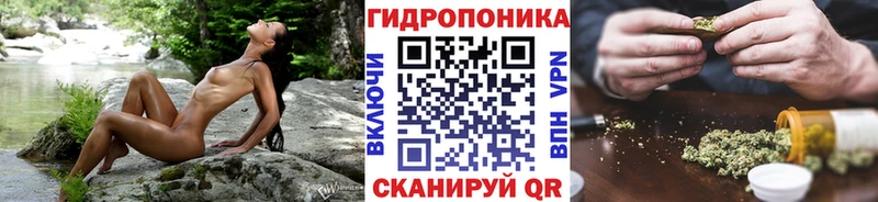Бошки Шишки Amnesia Сегежа